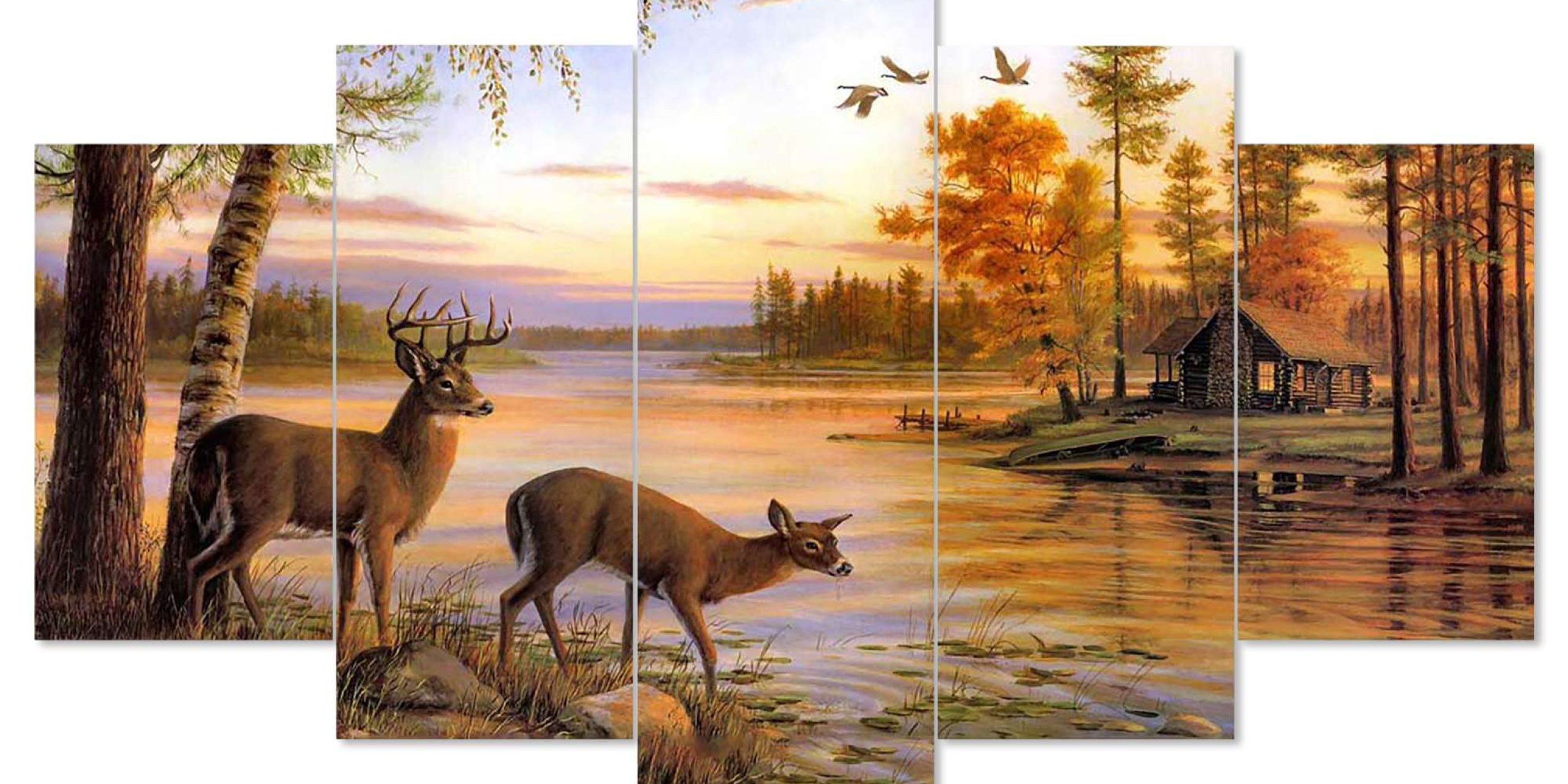 Chitran Product Photography